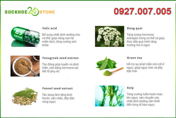 Thành phần của Breast Queen