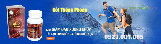 banner cốt thống phong