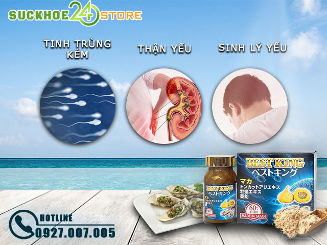 Đối tượng sử dụng sản phẩm Best King