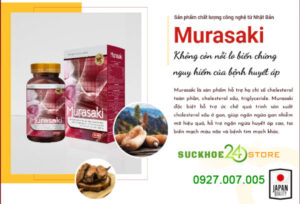 Giới thiệu Murasaki