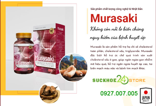 Giới thiệu Murasaki