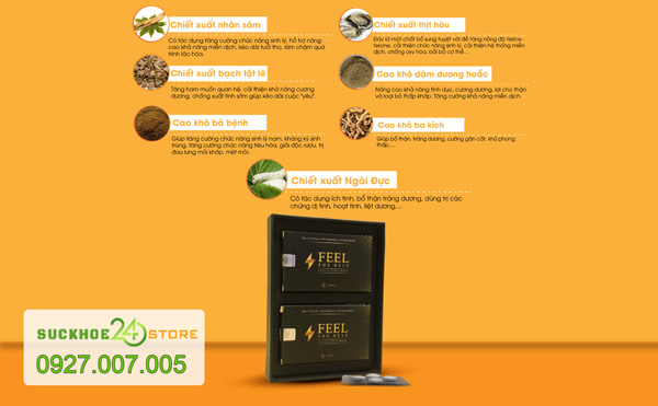 Thành phần Feel The Best