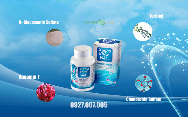 thành phần của xương khớp việt pro