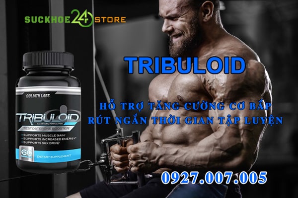 Tribuloid giúp nuôi dưỡng cơ bắp