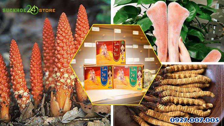 thành phần xuân dược vương