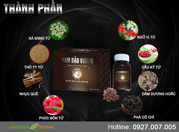 Thành phần của Nam Bảo Vương