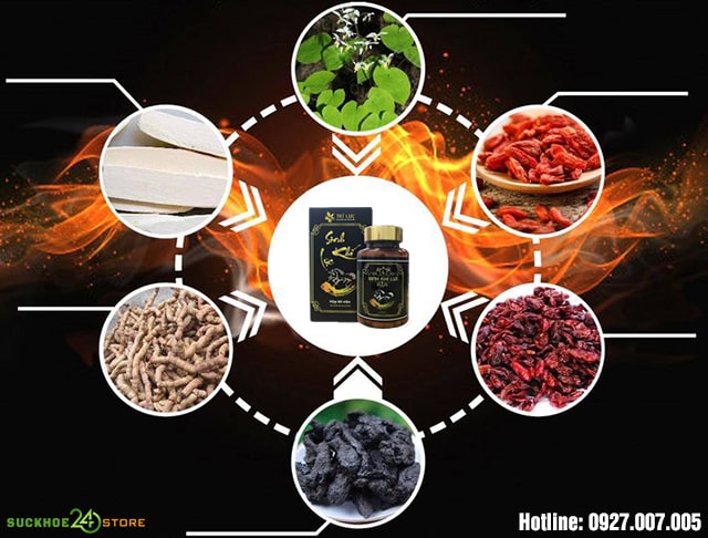 thành phần sinh khí lực