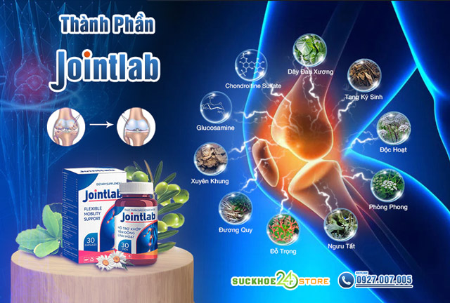 Thành phần của Jointlab