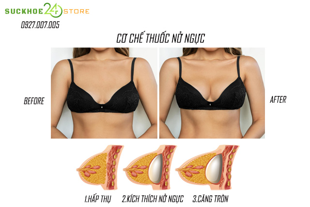 cơ chế thuốc nở ngực