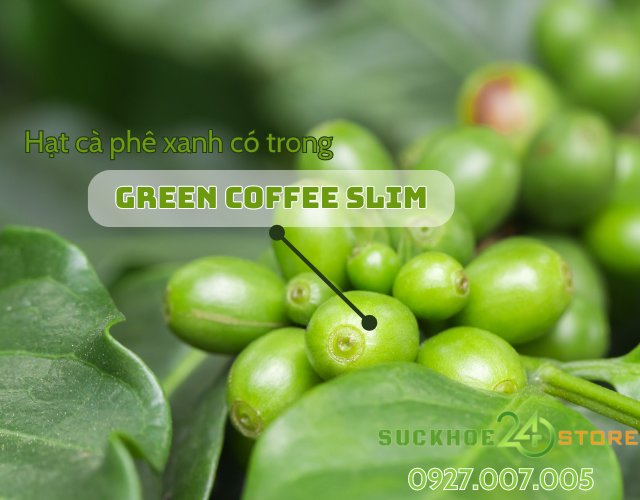 tac-hai-cua-thuoc-giam-can-1