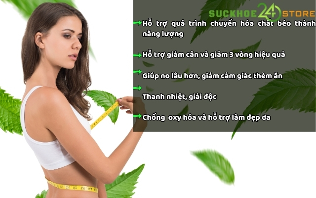 Diet Pro