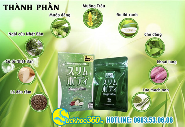 Thành phần Chính giảm cân Magic Slim
